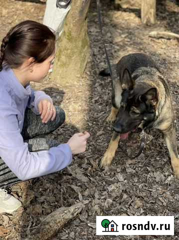 Ветеринарный врач на дом Гагарин - изображение 1