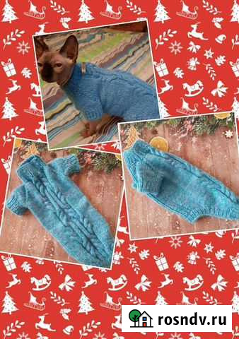 Одежда для кошек и собак Братск - изображение 1