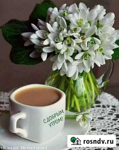 Уборка Чебоксары - изображение 1