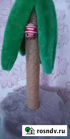 Когтеточка Алатырь - изображение 1