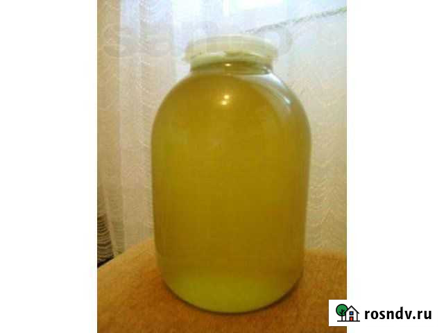 Мед акация 3 литра цена за 3 литра Новосибирск - изображение 1