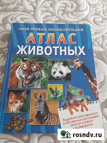 Энциклопедии Омск - изображение 1