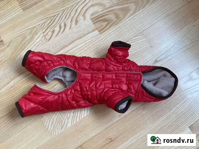 Одежда для собак мелких пород Мытищи - изображение 1