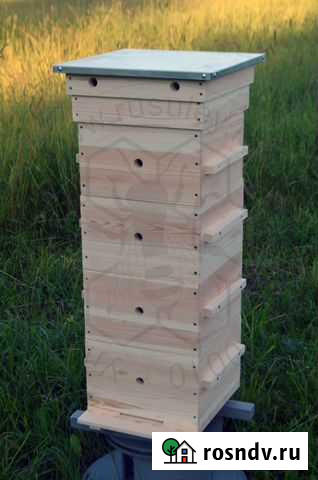 Улей Варре-Облегченный Кострома - изображение 1