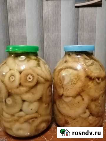 Грузди настоящие Нижний Новгород - изображение 1