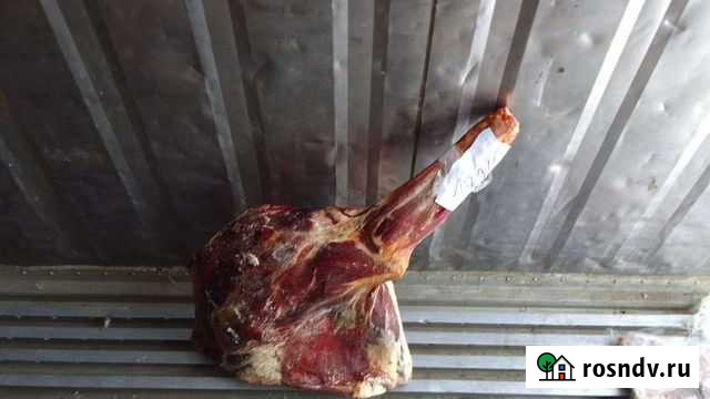 Мясо марала Новосибирск - изображение 1