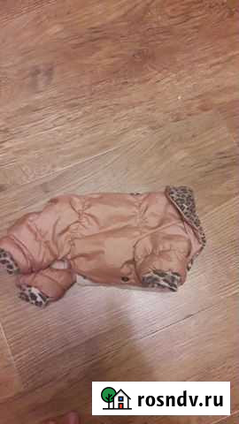 Одежда для собак Балашиха - изображение 1