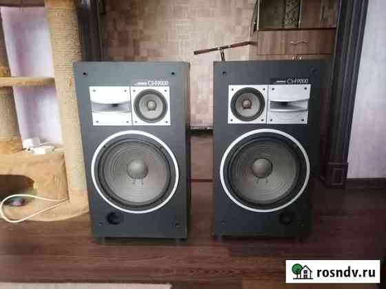 Pioneer cs-f9000 Новокузнецк