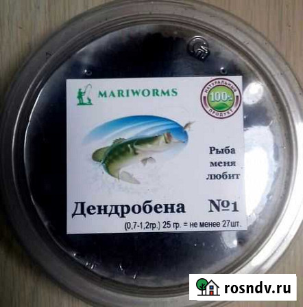 Дендробена Венета Йошкар-Ола - изображение 1
