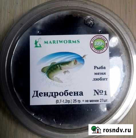 Дендробена Венета Йошкар-Ола - изображение 1