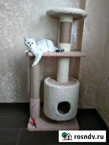 Когтеточки с домиком Иваново - изображение 1