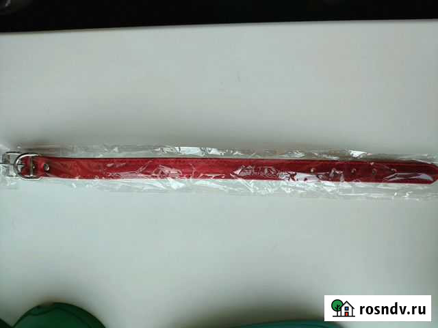 Ошейник Новокузнецк - изображение 1