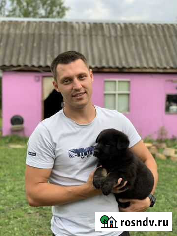 Ветеринарный врач на дом Сафоново - изображение 1