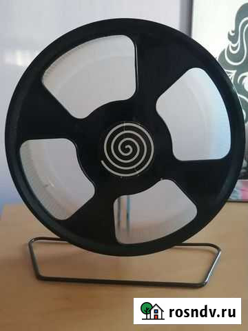 Колесо для грызунов Брянск - изображение 1