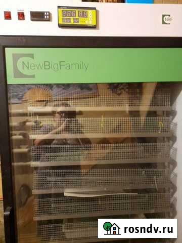 Инкубатор мбф 1500 Орехово-Зуево - изображение 1