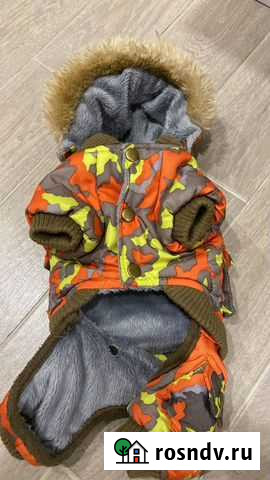 Зимний комбинезон s для маленьких собак Казань - изображение 1