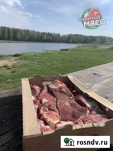 Говядина телятина Балашиха - изображение 1
