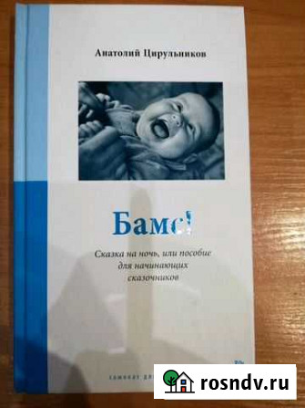 Книга Анатолий Цирульников: Бамс Кострома - изображение 1