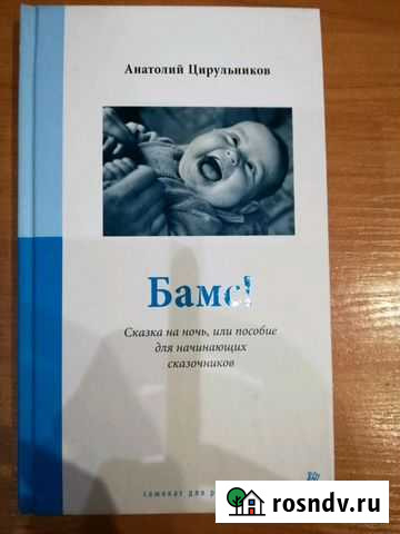 Книга Анатолий Цирульников: Бамс Кострома - изображение 1
