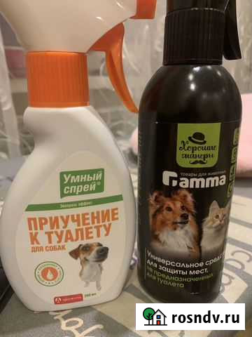 Приучение к лотку и защита мест Сургут - изображение 1