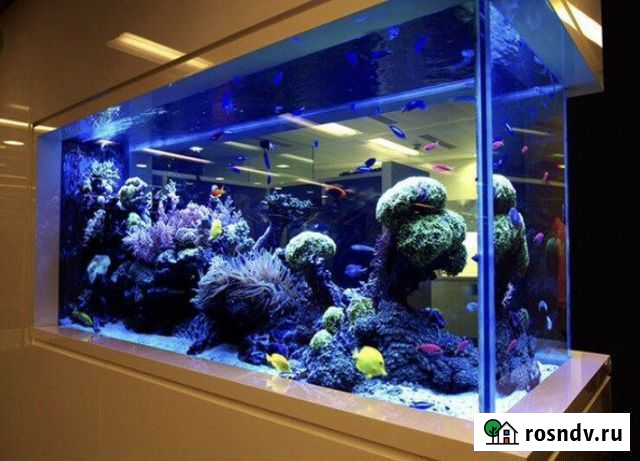 Аквариум Таганрог - изображение 1