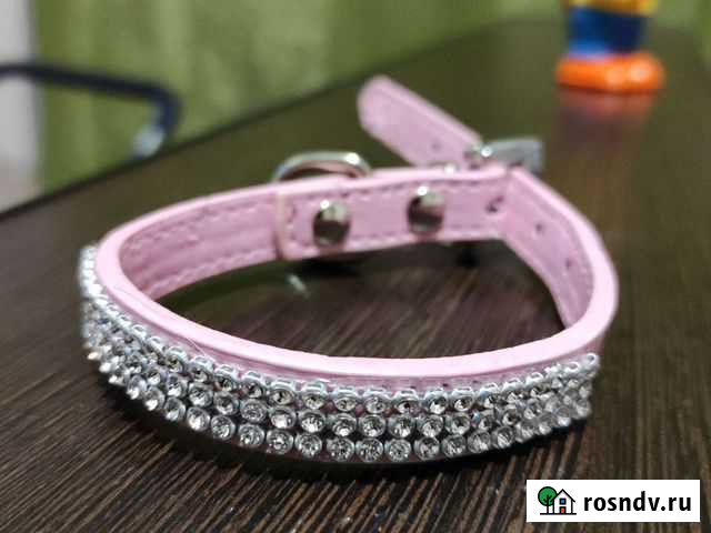 Ошейник на кошечку Белогорск - изображение 1