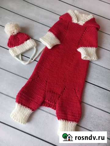 Одежда для кошек и собак Тамбов - изображение 1