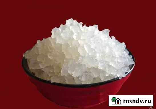 Морской индийский рис (гриб) Монино - изображение 1