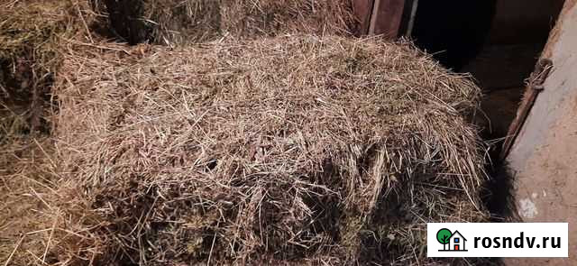 Сено люцерны в тюках Новоплатнировская - изображение 1