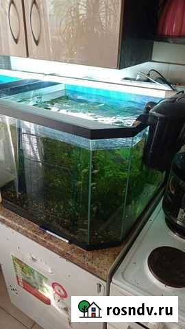 Аквариум б/у Челябинск - изображение 1