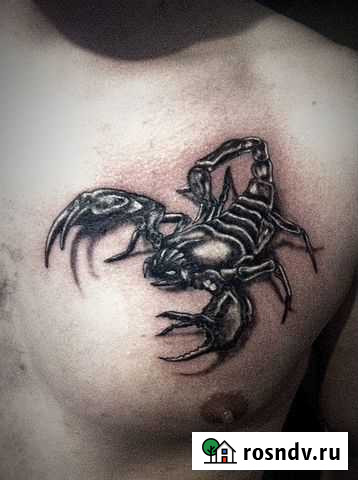 Художественная Татуировка Омск - изображение 1