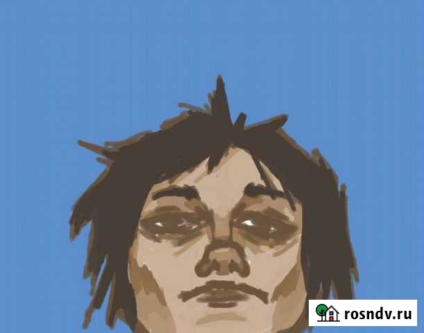 Художник Мурманск - изображение 1