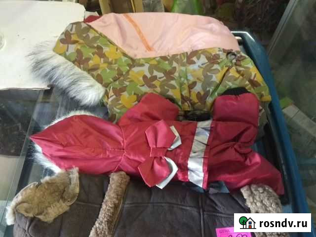 Зимняя одежда для мелких пород собак Владимир - изображение 1