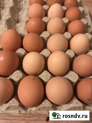 Яйца Белоярский - изображение 1