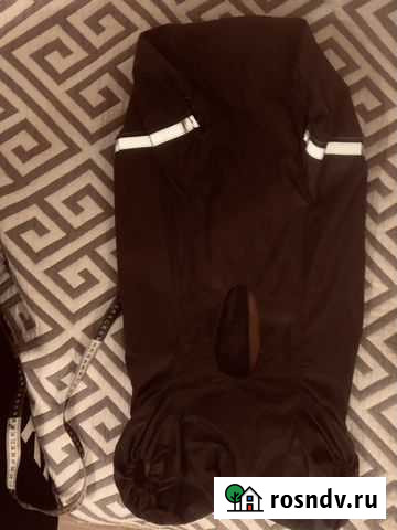 Комбинезон зимний для собака, на флисе Воронеж - изображение 1