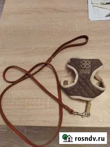 Шлейка с поводком для кошек и мелких собак Оренбург - изображение 1