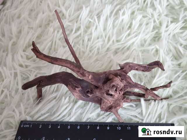 Коряга для аквариума Санкт-Петербург - изображение 1