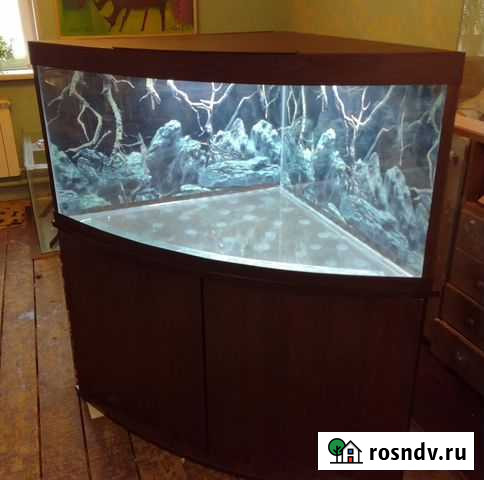 Аквариум в каждый дом Кемерово - изображение 1