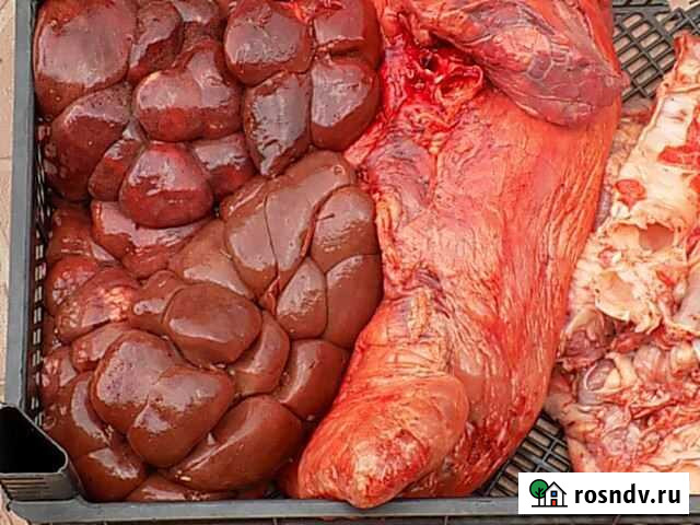 Говядина, субпродукты для собак Калуга - изображение 1