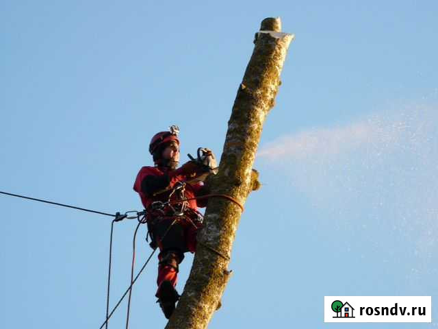Спил Деревьев Гостагаевская. Удаление, Обрезка Гостагаевская - изображение 1