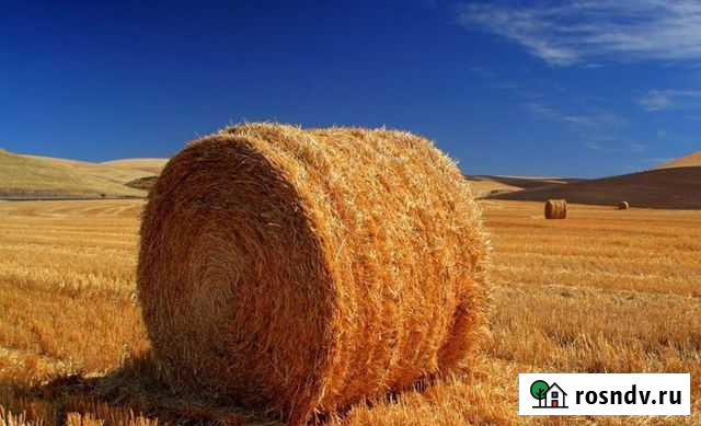 Солома Михайловка - изображение 1