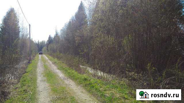 Участок СНТ, ДНП 20 сот. на продажу в Рябово Рябово - изображение 1