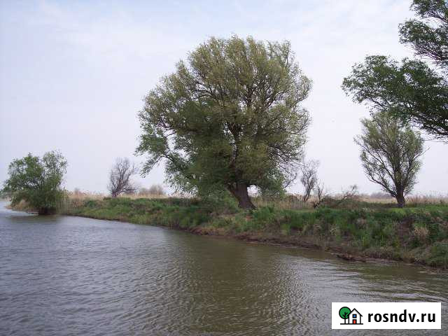 Участок СНТ, ДНП 2250 сот. на продажу в Камызяке Камызяк - изображение 1