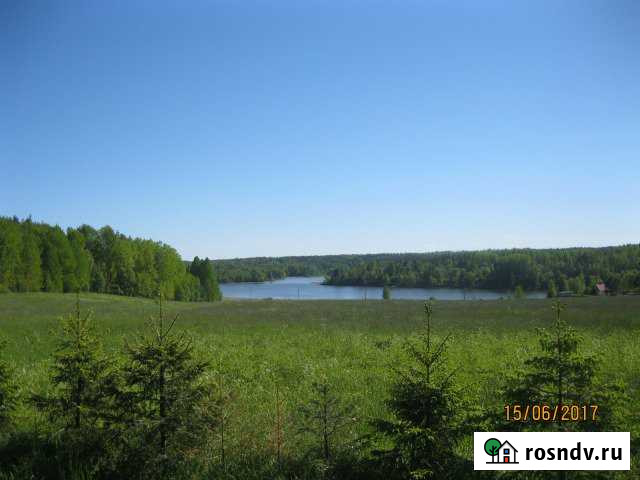 Участок СНТ, ДНП 350 сот. на продажу в Лахденпохье Лахденпохья - изображение 1