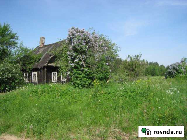 Участок ИЖС 20 сот. на продажу в Кингисеппе Кингисепп - изображение 1