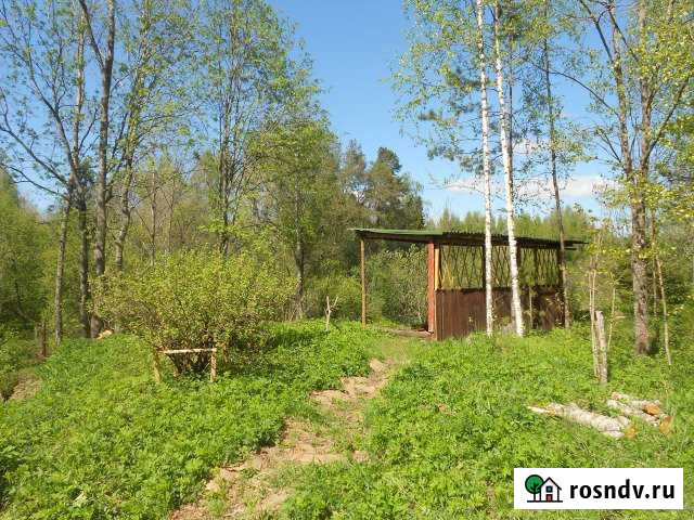 Дом 50 м² на участке 15 сот. на продажу в Тихвине Тихвин - изображение 1