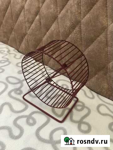 Колесо для белки дегу бесплатно Новосибирск - изображение 1