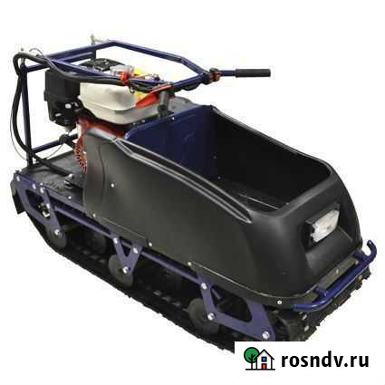 Барс Тулун - изображение 1