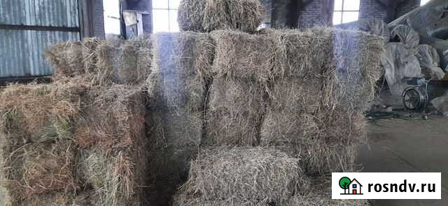 Сено люцерны в рулонах Новоукраинский - изображение 1
