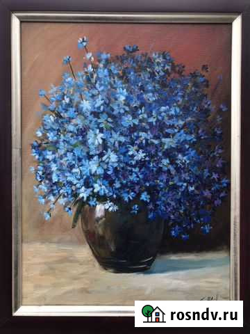 Васильки Иркутск - изображение 1